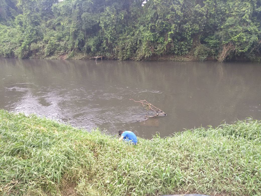 Contaminação no rio Itapocuzinho poderá deixar Guaramirim sem água
