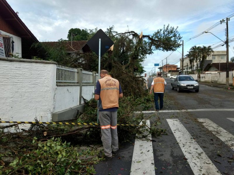 Jaraguá do Sul | Vento forte provoca destelhamentos, queda de árvores e falta de luz