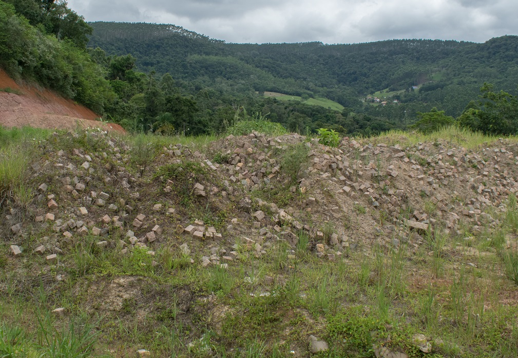 Rio do Sul | Pedras que poderiam ser utilizadas em pavimento somem no meio do mato