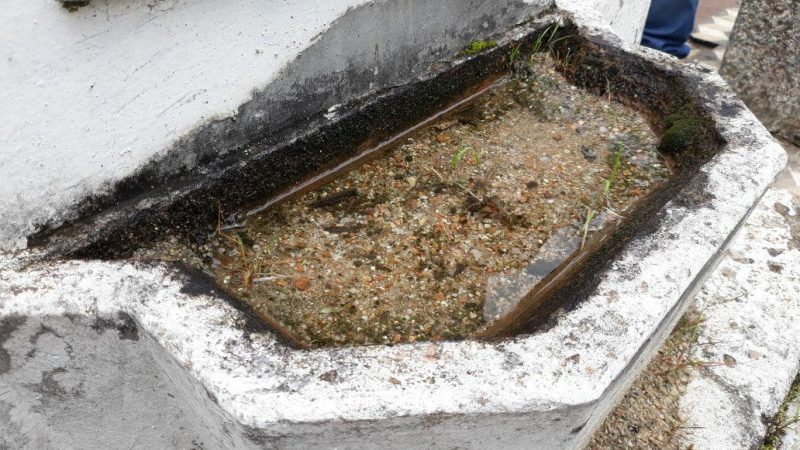 Meio ambiente alerta para o acúmulo de água parada em vasos nos cemitérios