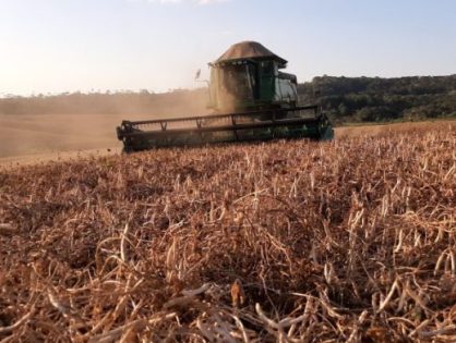 Novas tecnologias impulsionam a cultura de grãos no Vale e na Serra Catarinense