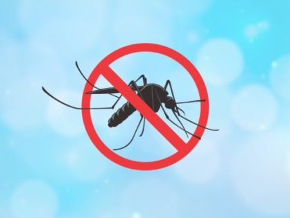Municípios de SC começam a solicitar recursos do Estado para combate à dengue