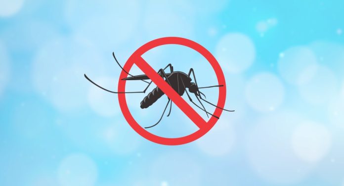 Municípios de SC começam a solicitar recursos do Estado para combate à dengue