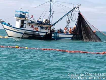Santa Catarina pode ir à Justiça para garantir pesca da Tainha; entenda