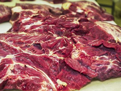 Santa Catarina supera US$ 1 bilhão em receitas com exportação de carnes no primeiro quadrimestre de 2023