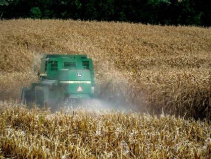 Agricultores de SC estão proibidos de plantar soja após 29 de dezembro