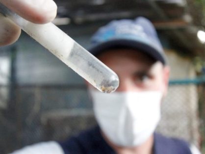 Casos confirmados de dengue aumentam 40% em 2023 em SC