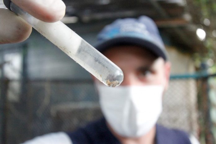 Casos confirmados de dengue aumentam 40% em 2023 em SC