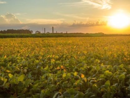 Programa Terra Boa 2024 vai beneficiar 66 mil agricultores de SC