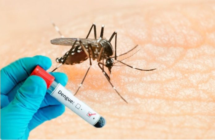 Casos prováveis de dengue aumentam 387% em 2024 em Santa Catarina