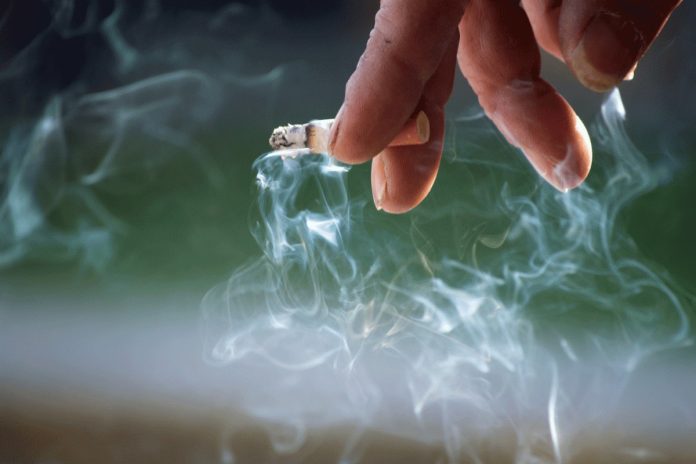 Projeto de lei que proíbe cigarro em parques de SC é aprovado na CCJ da Alesc