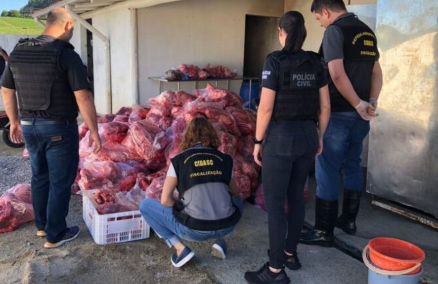 Polícia Civil apreende três toneladas de carne suína de abatedouro clandestino em SC