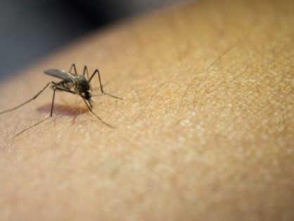 Chapecó registra primeira morte por dengue de 2024