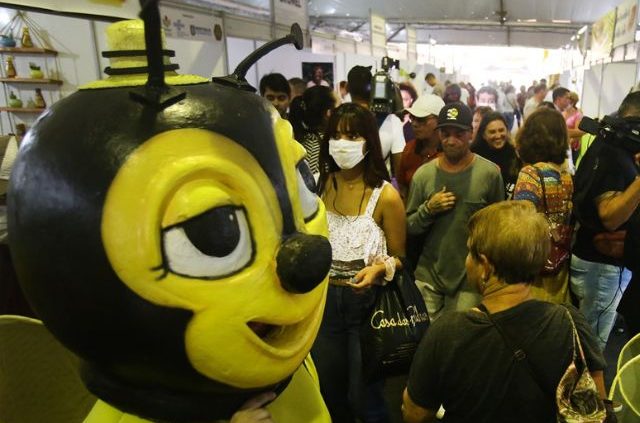 Festival do mel catarinense inicia em Florianópolis esta semana