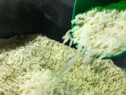 Pelo Estado 27/06: Novo leilão de arroz preocupa produtores locais