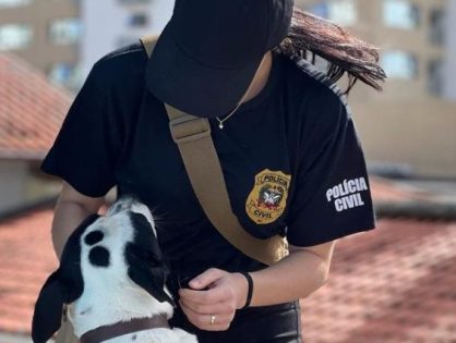 Santa Catarina lança plataforma para adoção de pets resgatados pela Polícia Civil