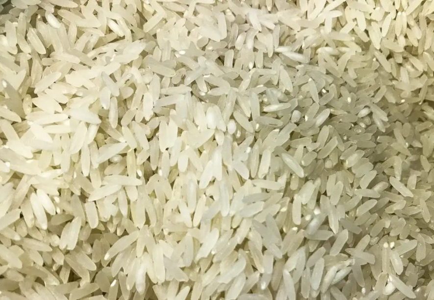 Lula diz que leilão de arroz foi anulado por “Falcatrua”