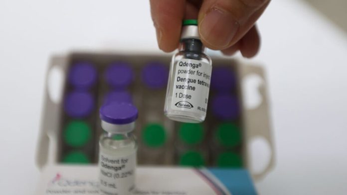 Com 231 mortes, cobertura vacinal da dengue não avança em Santa Catarina