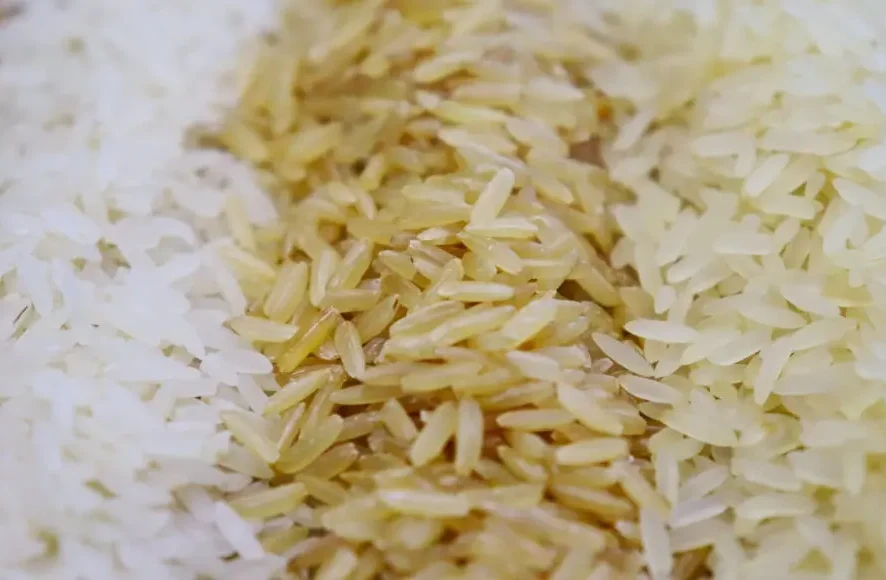 “Vai ser uma tragédia para o setor” afirma presidente do SindArroz-SC sobre leilão de arroz importado