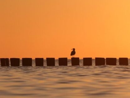 Santa Catarina terá verão com temperaturas acima da média e chuvas intensas em 2024