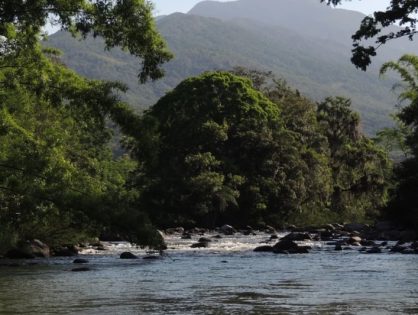 Fiesc e entidades defendem Código de Meio Ambiente de SC