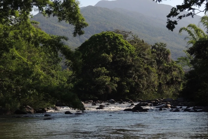 Fiesc e entidades defendem Código de Meio Ambiente de SC