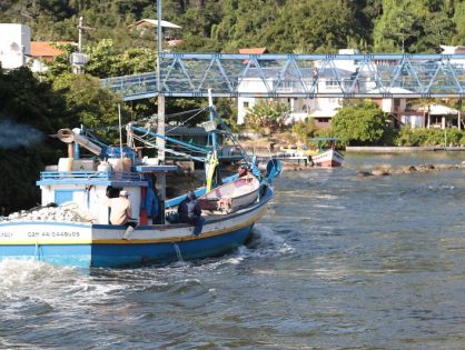 Pelo Estado 29/01: Boa notícia para o setor pesqueiro catarinense