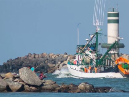 Temporada 2025 da pesca da tainha tem inscrições abertas para embarcações