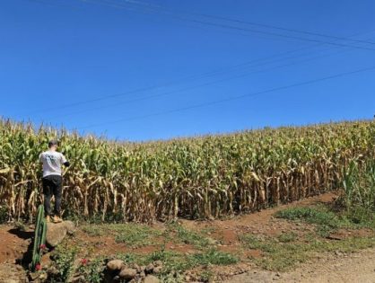 Sicoob e Epagri promovem Giro da Safra no Oeste de SC