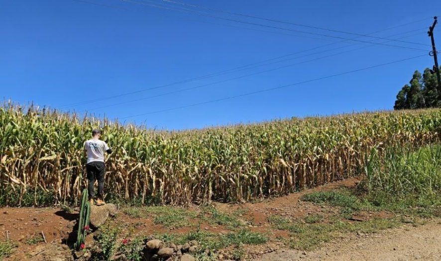 Sicoob e Epagri promovem Giro da Safra no Oeste de SC