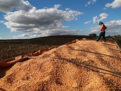 Epagri apresenta os resultados do agronegócio catarinense em 2024