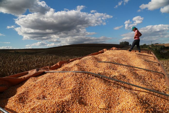 Epagri apresenta os resultados do agronegócio catarinense em 2024