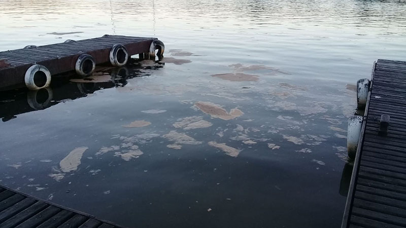 Comissão da Alesc quer discutir situação ambiental da Lagoa da Conceição