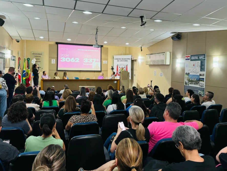 Audiência pública reúne lideranças regionais para debater violência contra a mulher em Criciúma