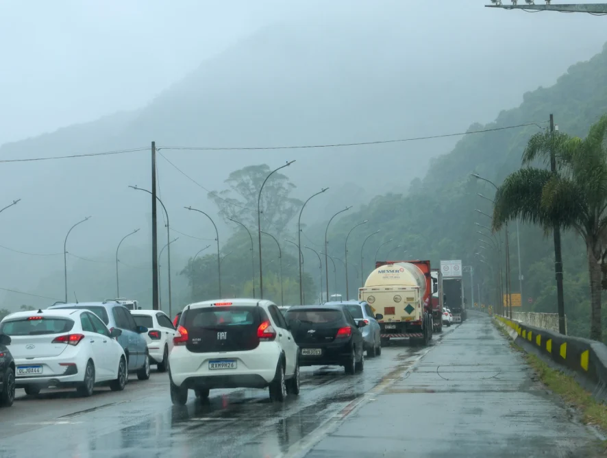 Remoção de árvores no Morro dos Cavalos gera fila nos dois sentidos da BR-101