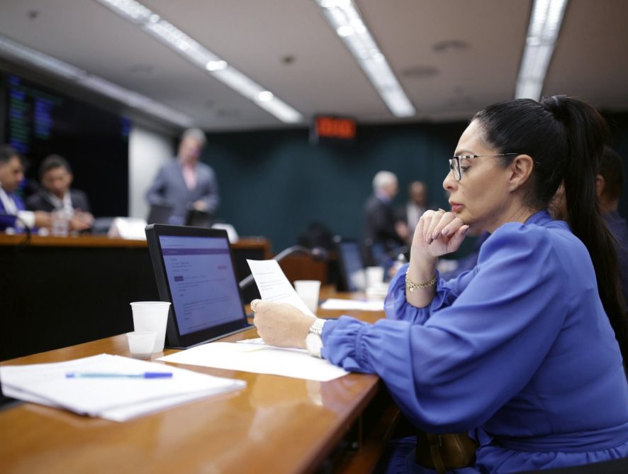 Pelo Estado 04/04: Deputados catarinenses se destacam em Brasília