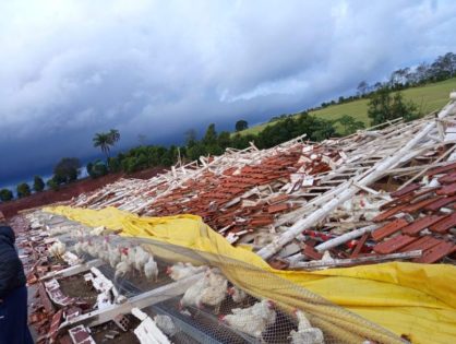 Prefeitura e Defesa Civil de Chapecó atuam para recuperar estragos causados por temporal