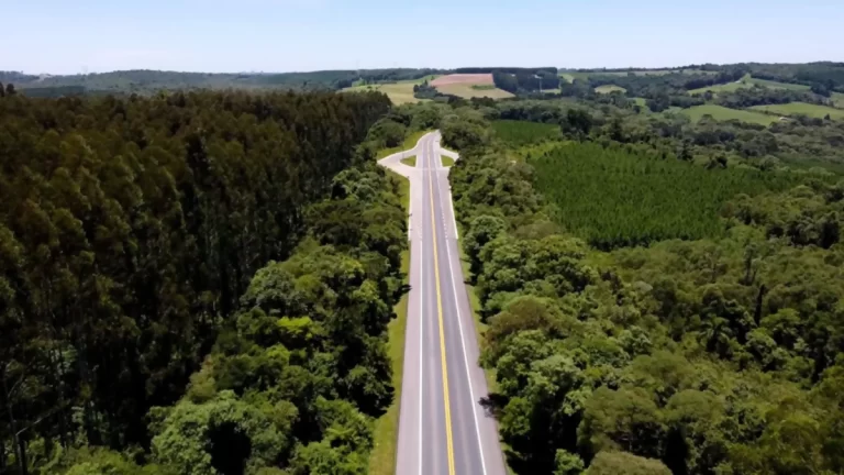 Pelo Estado Entrevista: BR-280 - A realidade das obras federais