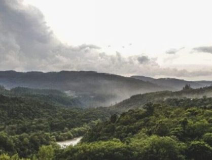 SC reduz desmatamento da Mata Atlântica em 12%, mas perda de restingas gera alerta