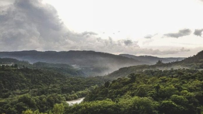 SC reduz desmatamento da Mata Atlântica em 12%, mas perda de restingas gera alerta