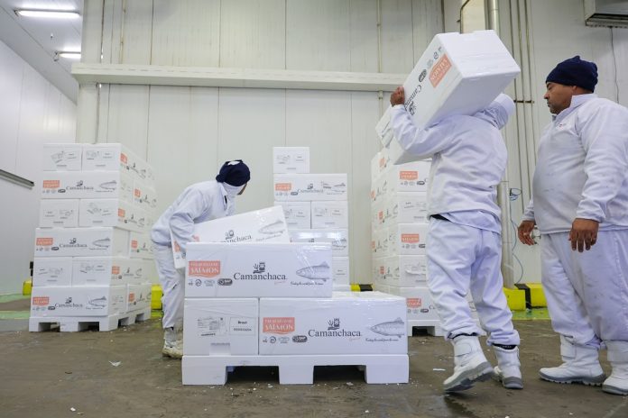 Sine Santa Catarina oferece mais de 8 mil vagas de emprego em todo o estado