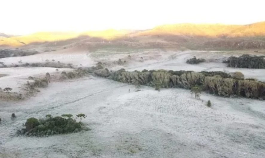 Frio intenso continua em SC: mínimas negativas e geada ampla em várias regiões