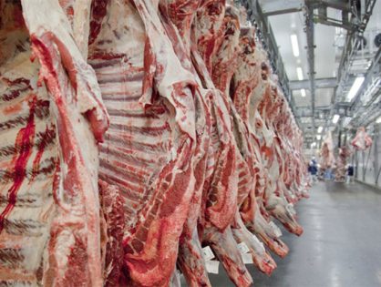 Efeito Trump: Frigoríficos suspendem produção para os EUA