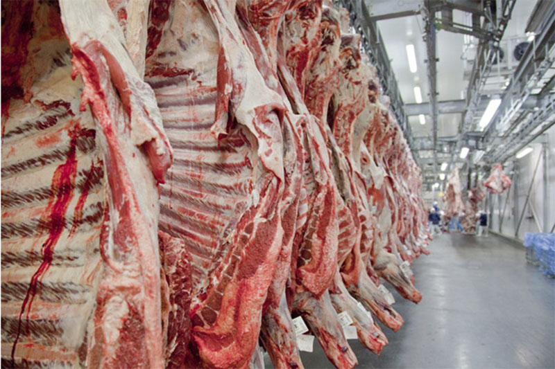 Efeito Trump: Frigoríficos suspendem produção para os EUA
