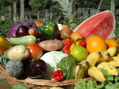 Dia Mundial da Alimentação: trabalho da Epagri leva comida de qualidade à mesa dos catarinenses