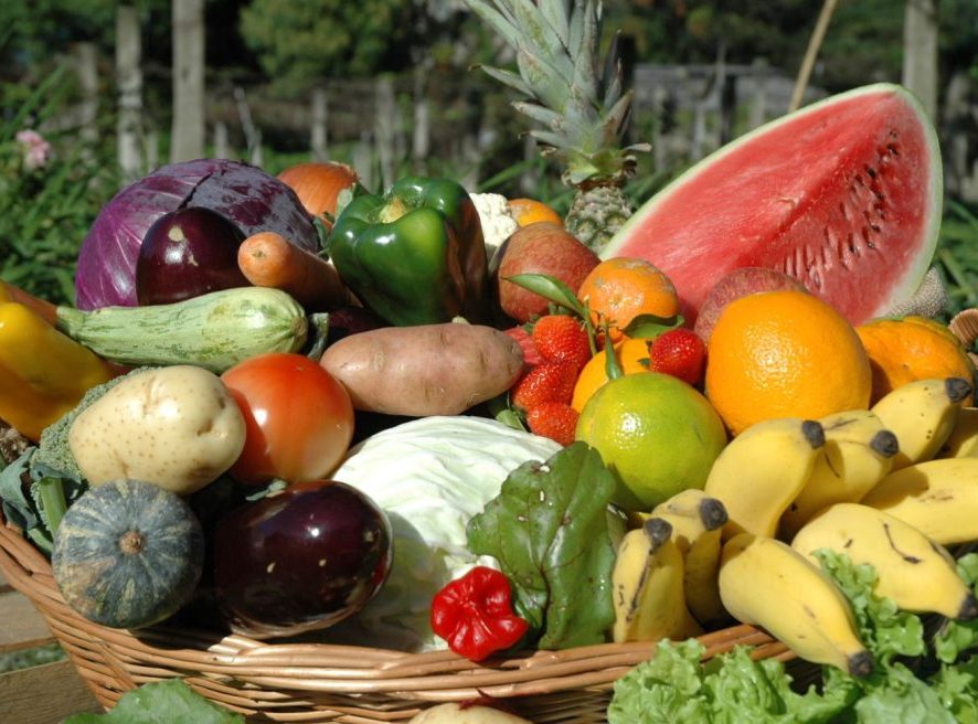 Dia Mundial da Alimentação: trabalho da Epagri leva comida de qualidade à mesa dos catarinenses