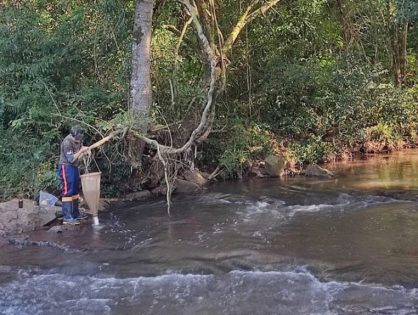 Pesquisa sobre Lajeado São José é selecionada para enciclopédia de boas práticas da COP-30