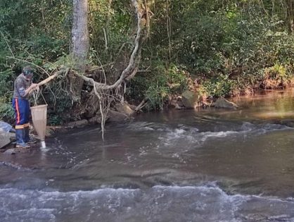 Pesquisa sobre Lajeado São José é selecionada para enciclopédia de boas práticas da COP-30