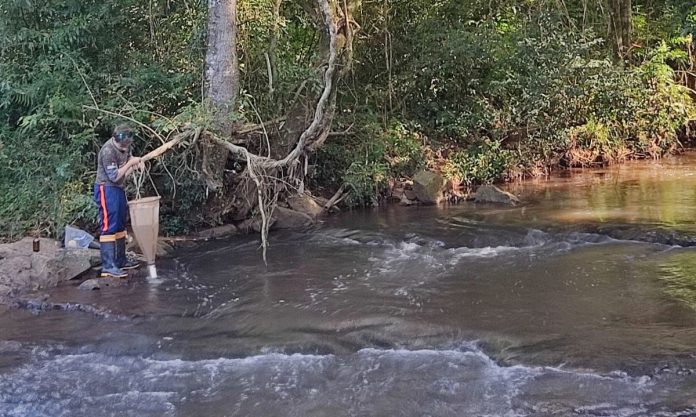 Pesquisa sobre Lajeado São José é selecionada para enciclopédia de boas práticas da COP-30