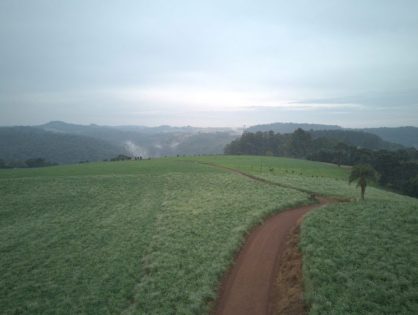 Com mais de 2,3 mil kits entregues, Solo Saudável impulsiona produtividade e preserva a terra